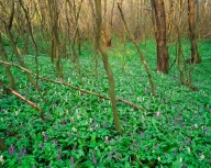 IMG308-Kopie.jpg